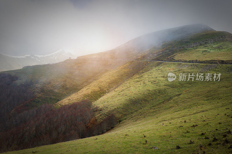 Irati forest，潘普洛纳，纳瓦拉，西班牙。